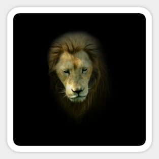 White lion Sticker